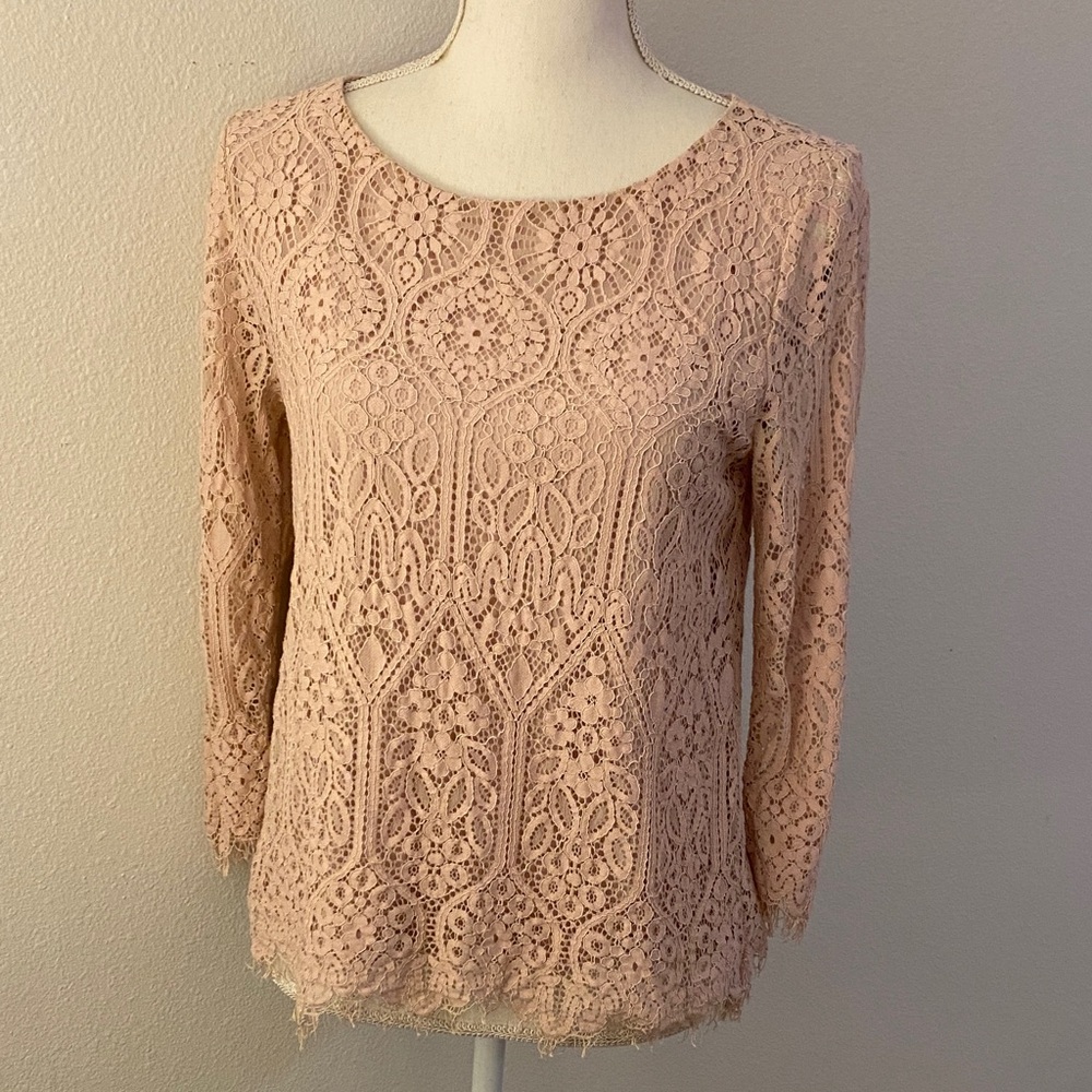 LOFT Lace Blouse in Blush